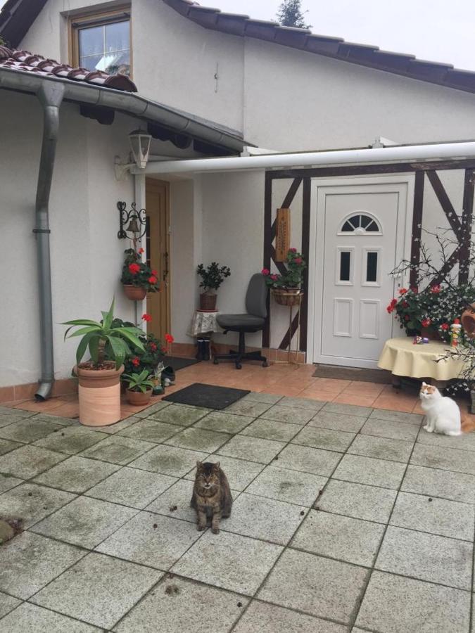 Ferienwohnung Kleines Haus im Oderbruch Neutrebbin Exterior foto