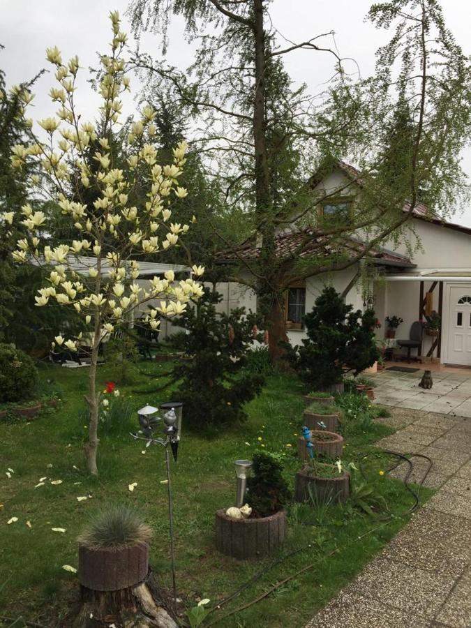 Ferienwohnung Kleines Haus im Oderbruch Neutrebbin Exterior foto